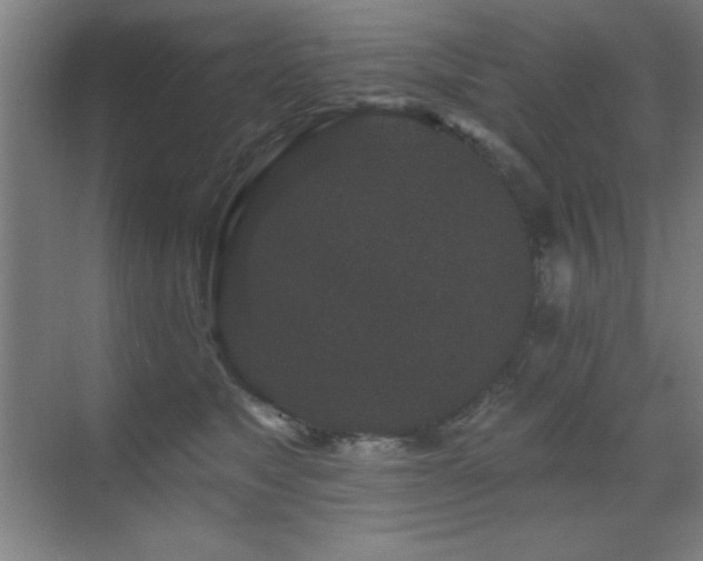 X0000071340517200606231141