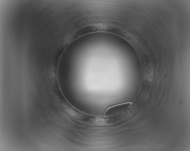 X0000071340518200606231141