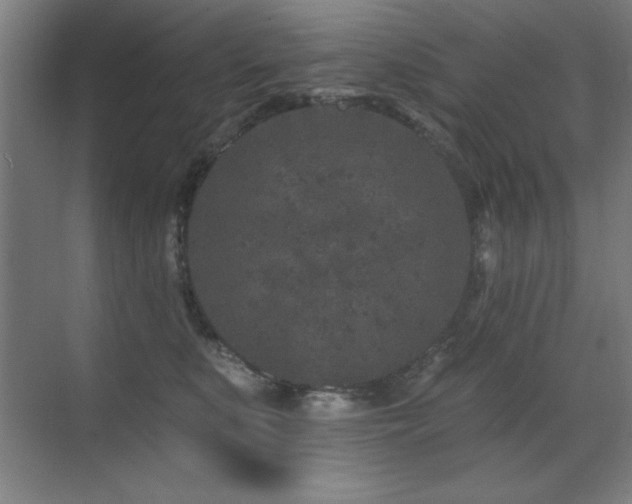 X0000071340519200606231141