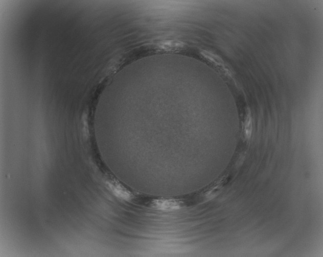 X0000071340520200606231141