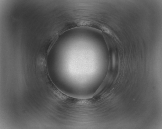 X0000071340521200606231141