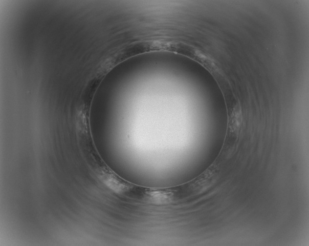 X0000071340522200606231141