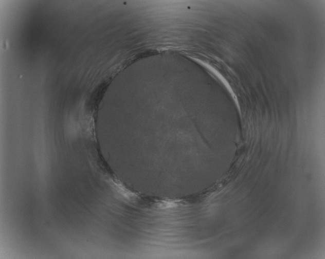 X0000071340523200606231141