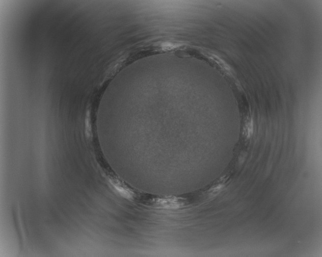 X0000071340524200606231141