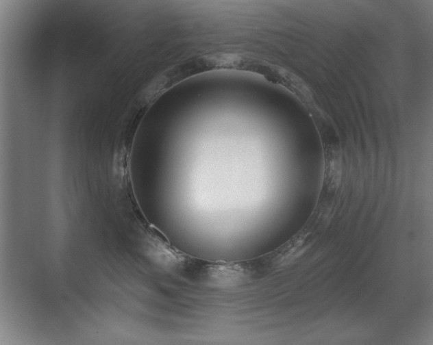 X0000071340525200606231141