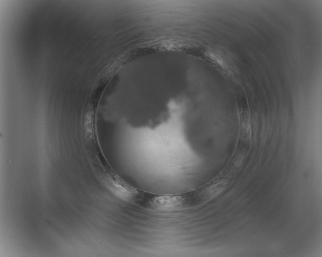 X0000071340526200606231141