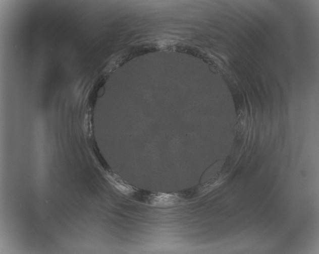 X0000071340527200606231141