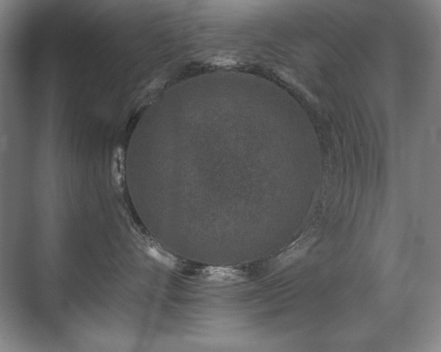 X0000071340528200606231141