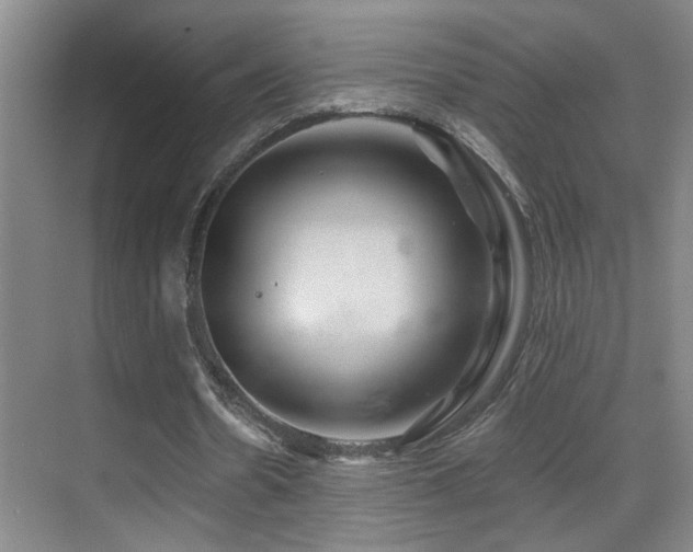 X0000071340530200606231140