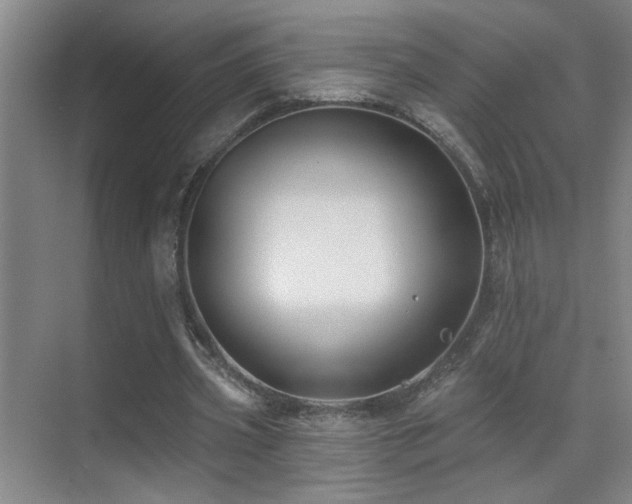 X0000071340533200606231140