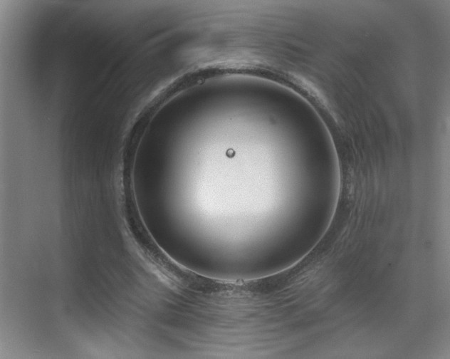 X0000071340535200606231140