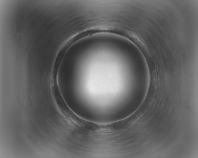 X0000071340536200606231141