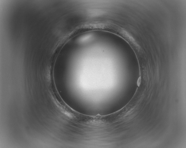 X0000071340537200606231141