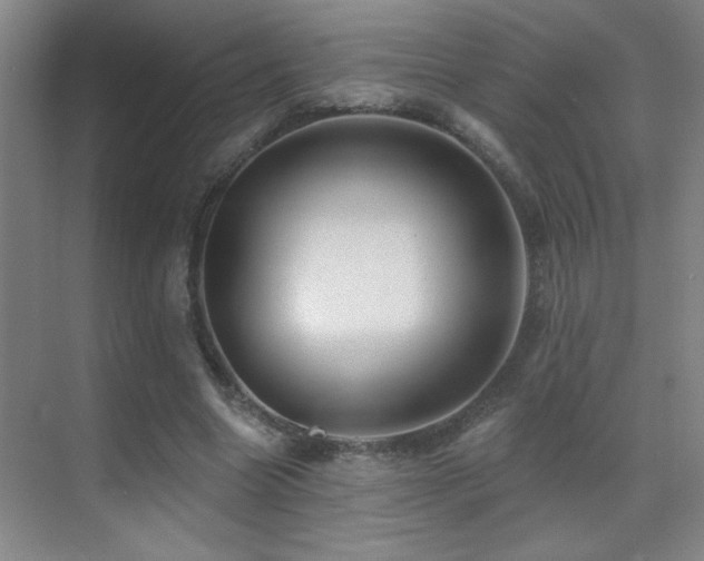 X0000071340538200606231141