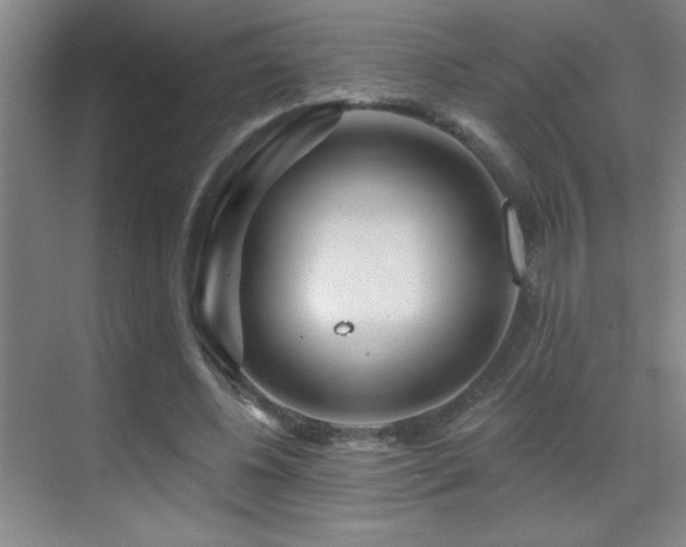 X0000071340540200606231141