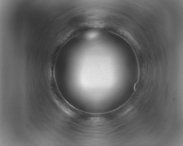 X0000071340541200606231141