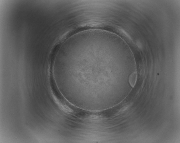 X0000071340542200606231141