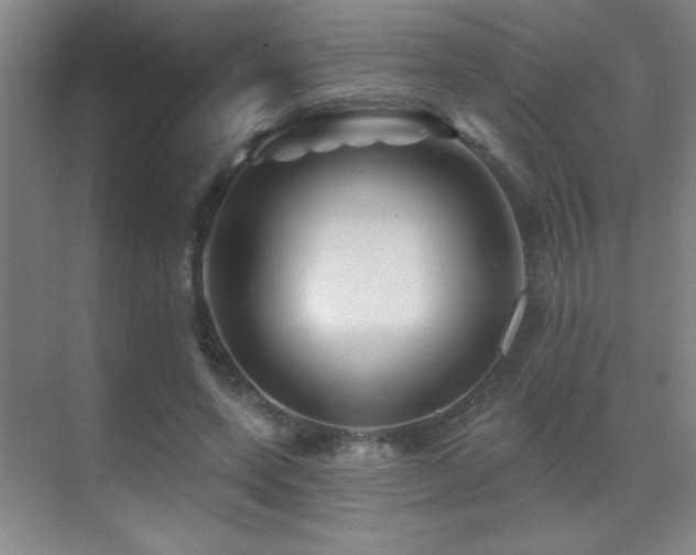 X0000071340543200606231141