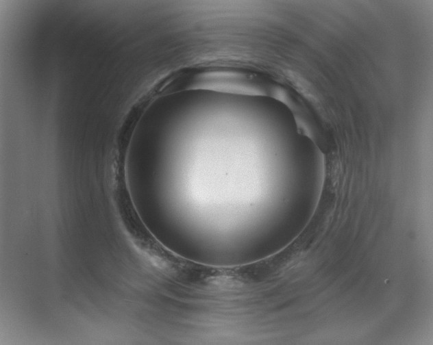 X0000071340544200606231141