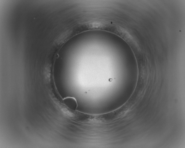 X0000071340545200606231141