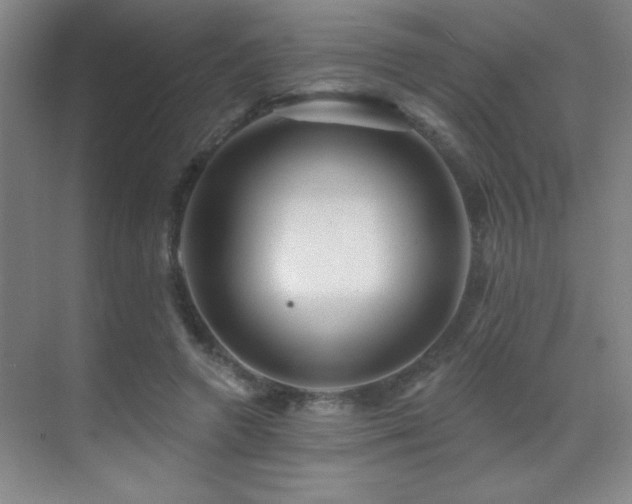 X0000071340546200606231141