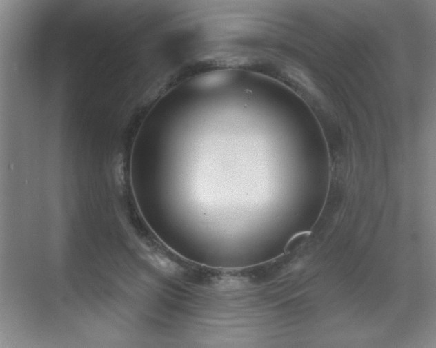 X0000071340549200606231141