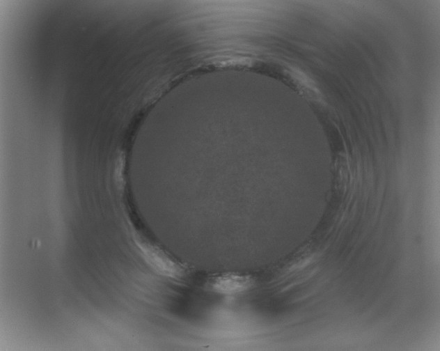 X0000071340550200606231141