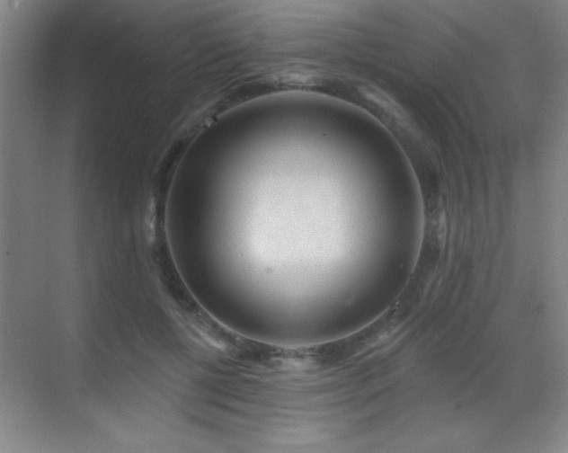 X0000071340552200606231141