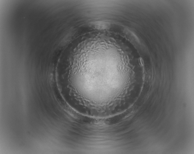 X0000071340553200606231141