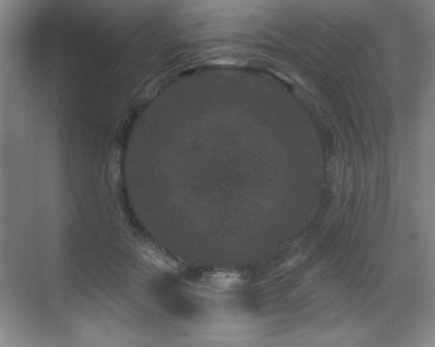 X0000071340554200606231141