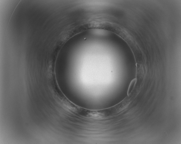 X0000071340557200606231141