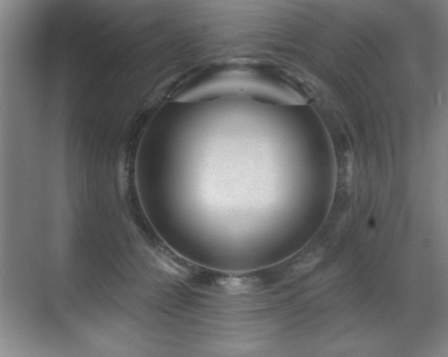 X0000071340558200606231141