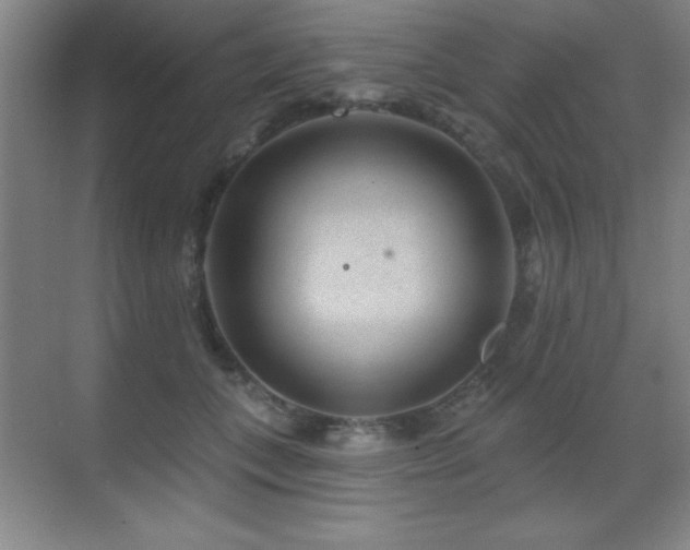 X0000071340559200606231141