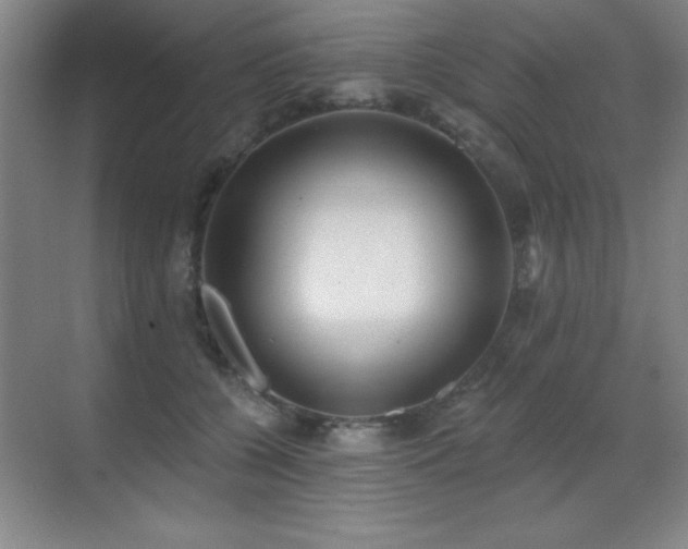 X0000071340560200606231141