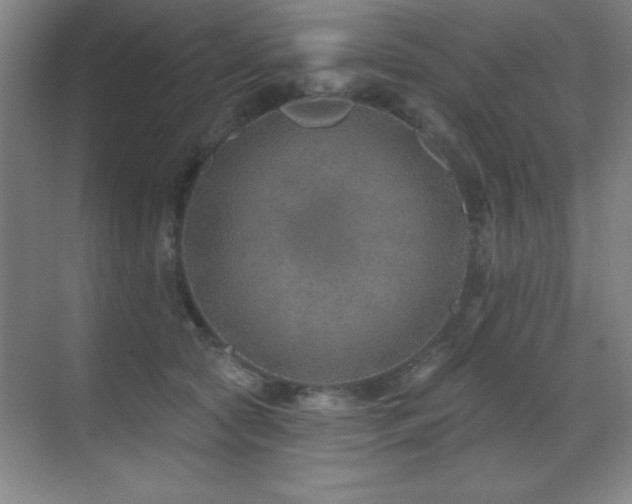 X0000071340561200606231141