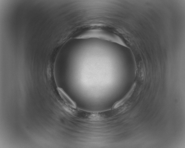 X0000071340562200606231141