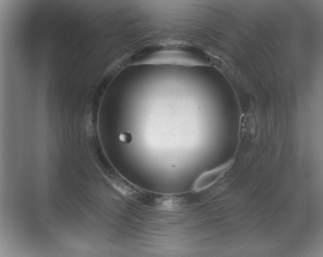 X0000071340564200606231141