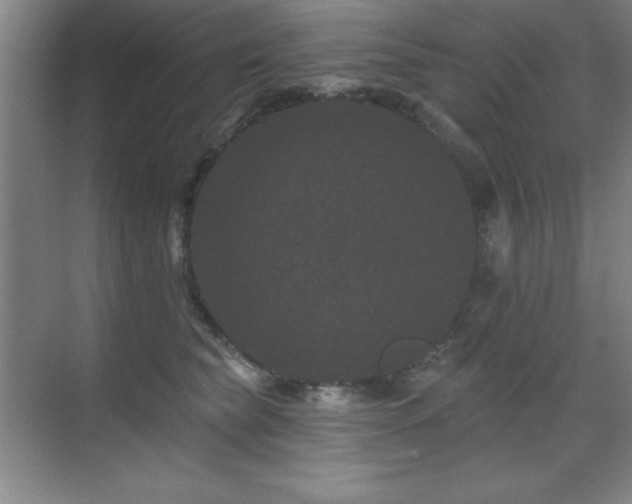 X0000071340565200606231141