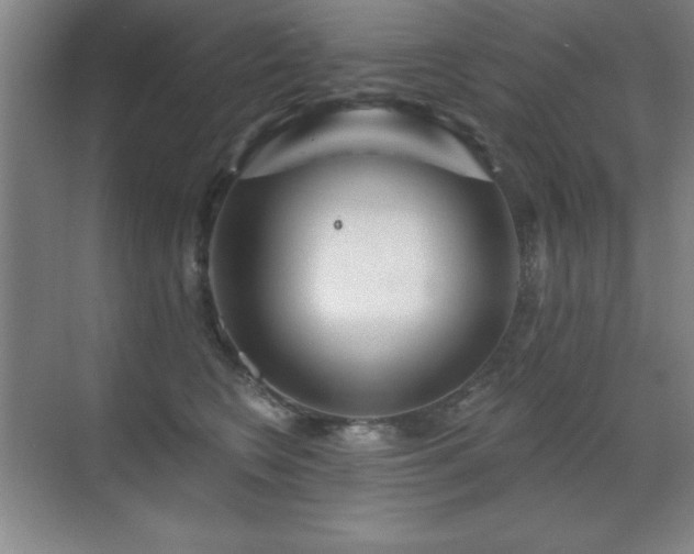 X0000071340566200606231141