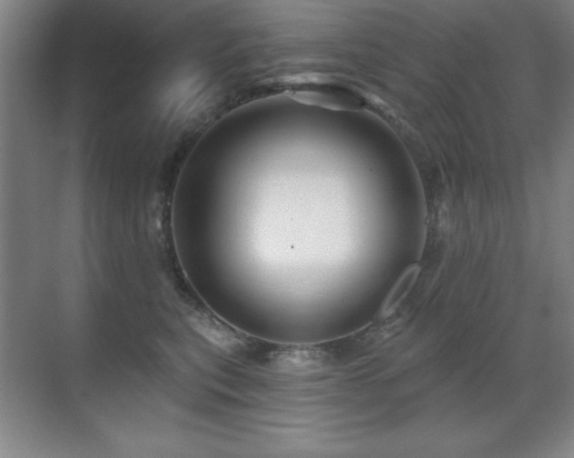 X0000071340567200606231141