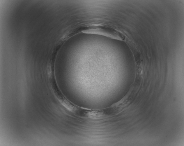 X0000071340568200606231141