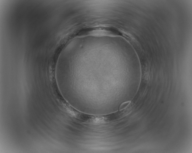 X0000071340569200606231141