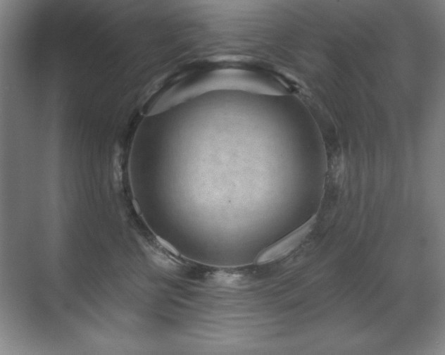 X0000071340570200606231141