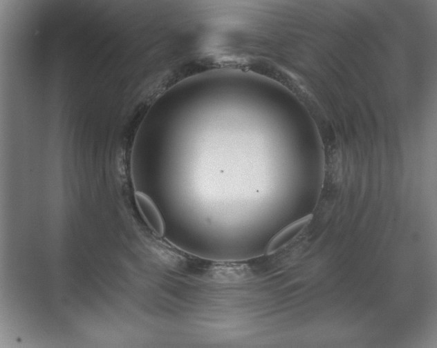 X0000071340571200606231141