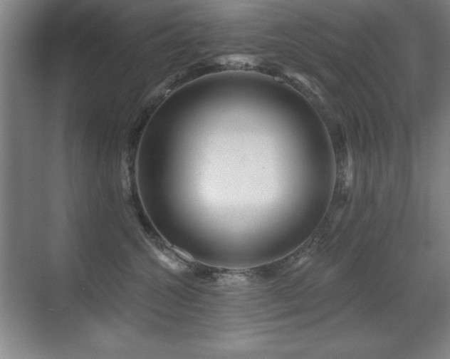 X0000071340572200606231141