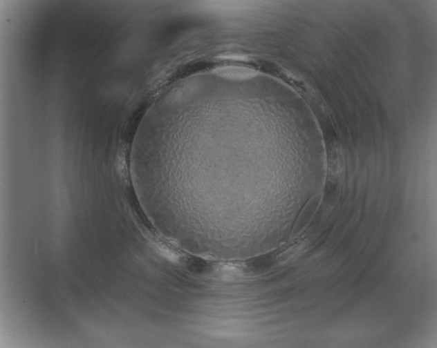 X0000071340573200606231141