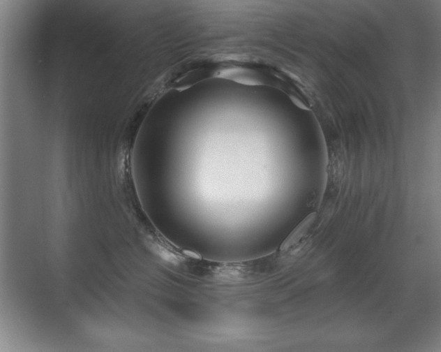 X0000071340574200606231141