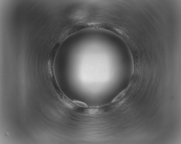 X0000071340575200606231141