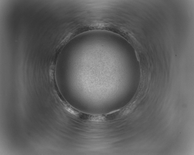 X0000071340576200606231141