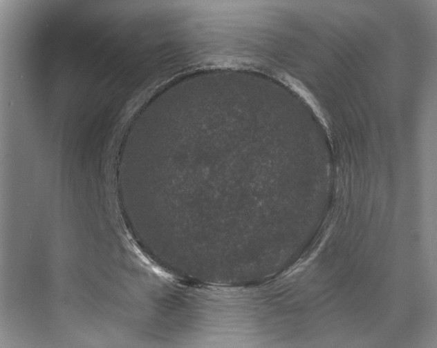 X0000071340577200606231140